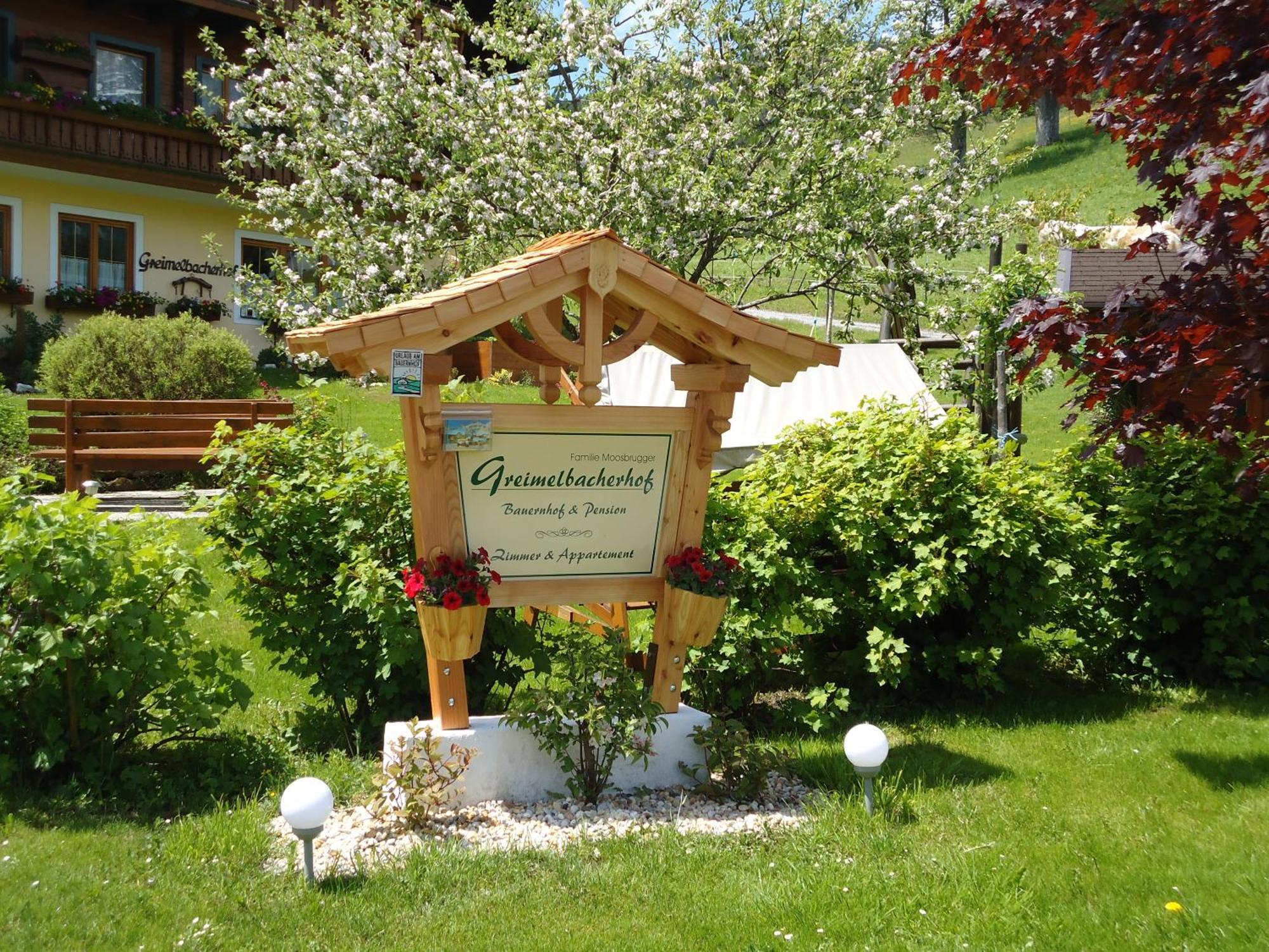 Pension-Greimelbacherhof Ramsau am Dachstein Exterior foto
