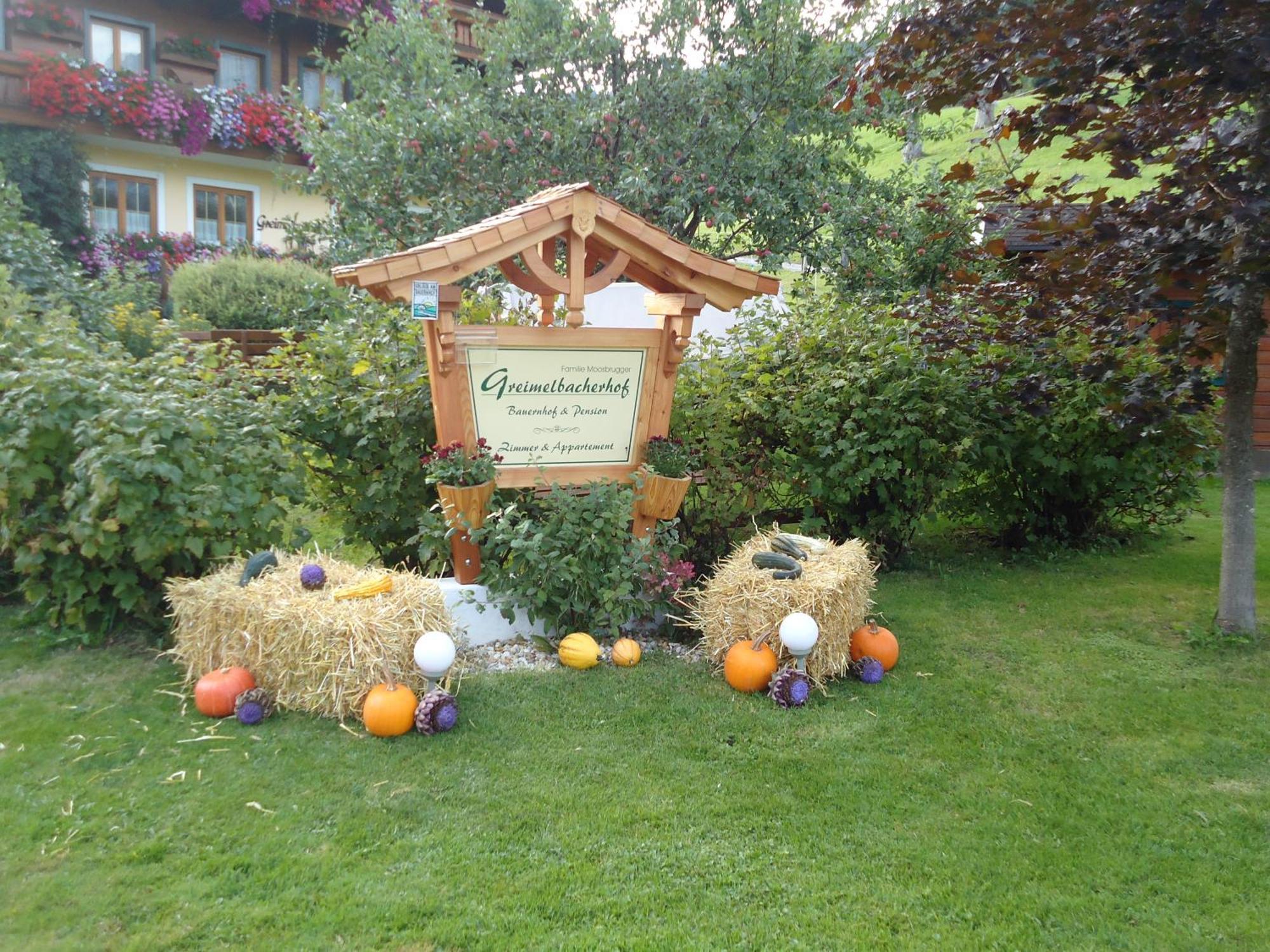 Pension-Greimelbacherhof Ramsau am Dachstein Exterior foto
